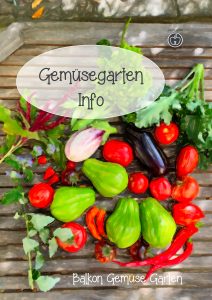Gemüsegarten Info Journal Titel