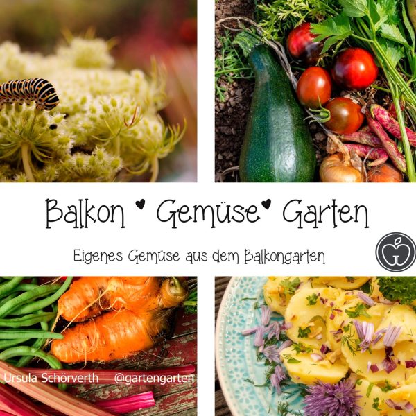 "Balkon Gemüse Garten", print